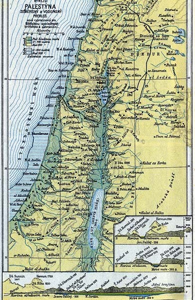 Nynj Palestna/Present Palestine